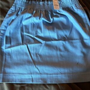 J. Crew Factory Blue Elastic Waist Skirt - size 6